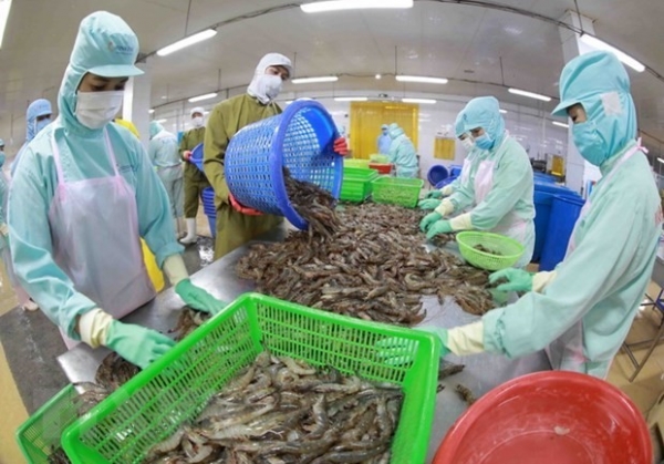 Le Vietnam est le 7ème plus grand fournisseur de fruits de mer sur le marché chinois.