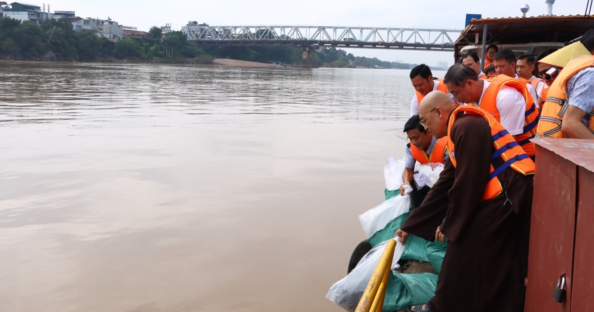 releasing fish to restore aquatic resources on the Red River