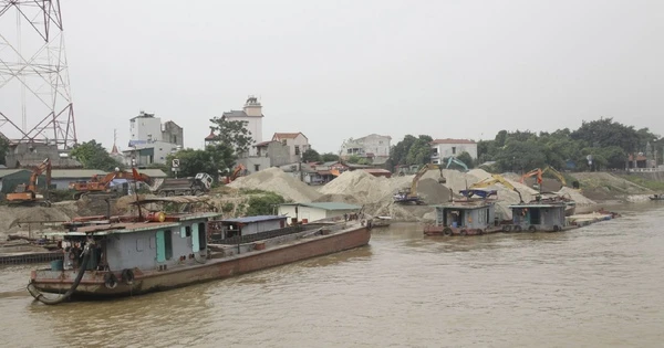 Mới thành lập hơn 1 tháng, doanh nghiệp trúng đấu giá mỏ cát hàng trăm tỉ