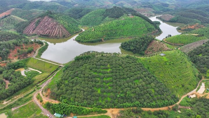 El proyecto del embalse de Tu Nghia contenía violaciones que llevaron a que el Sr. Sanh y el Sr. Huynh Tri fueran procesados ​​y detenidos temporalmente.