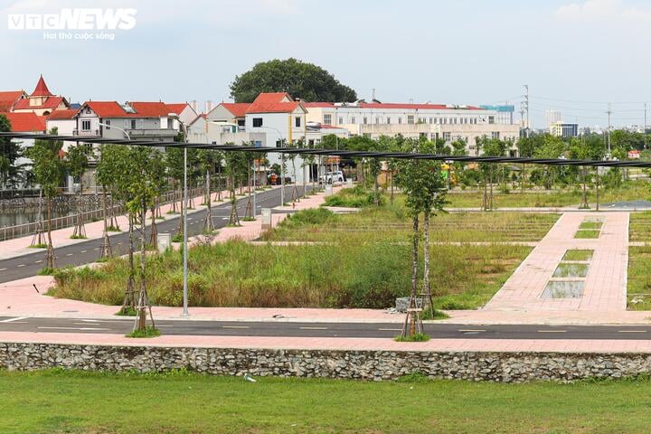 Many opinions say that it is necessary to publicize the identities and severely punish those who bid high and then give up when participating in land auctions. (Illustration photo: Minh Duc).