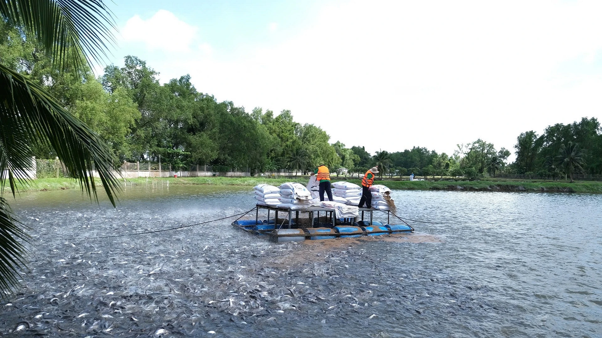 Promoting credit for key agricultural products in the Mekong Delta region photo 2