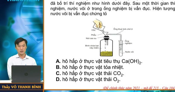 Kiến thức sinh học lớp 11