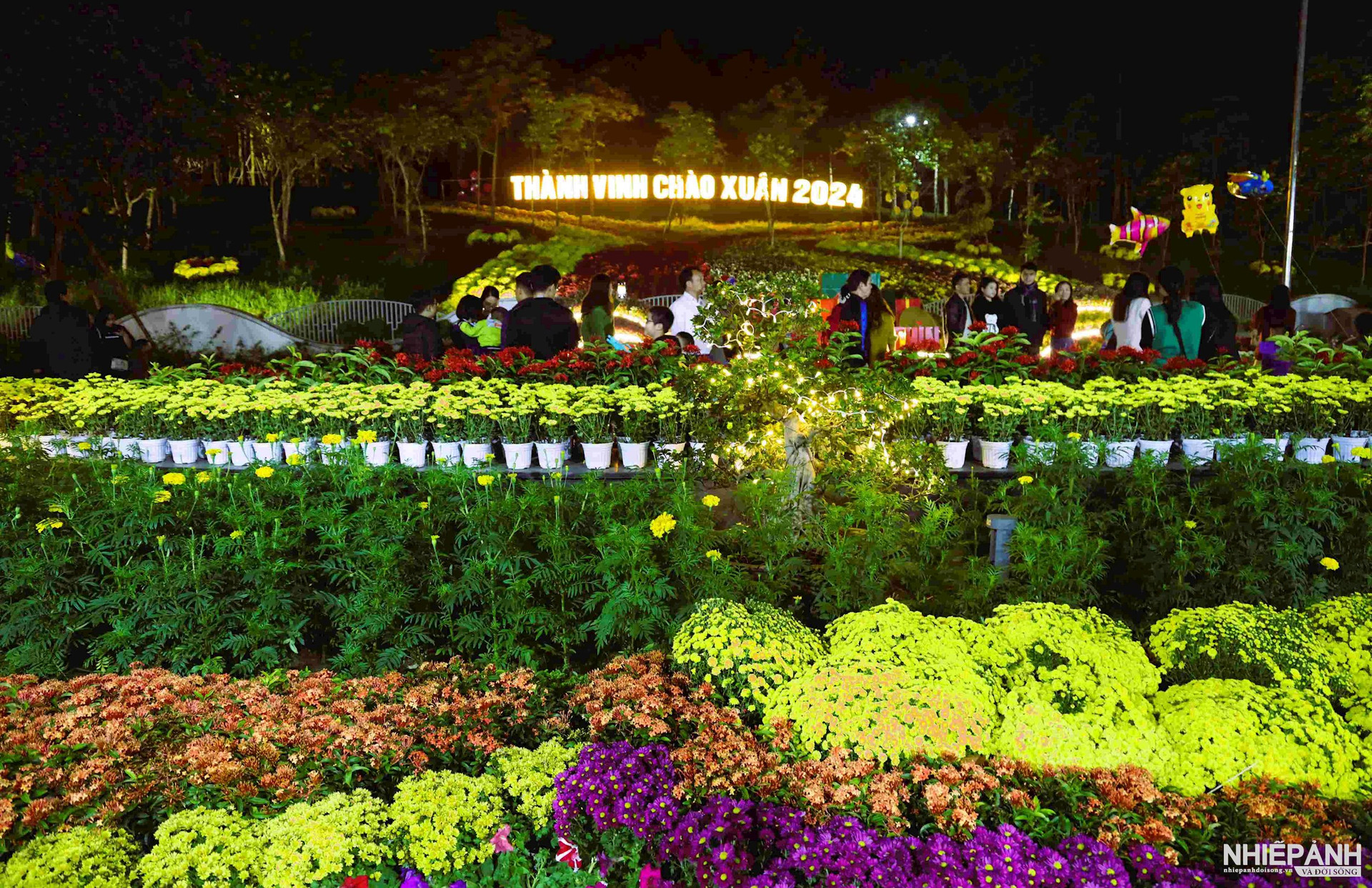 Wung-chu-yeu-o-duong-ho-tung-mau.-thousands-of-flowers-with-dozens-of-species-are-planted-in-various-shapes-to-create-a-beautiful-landscape.jpg