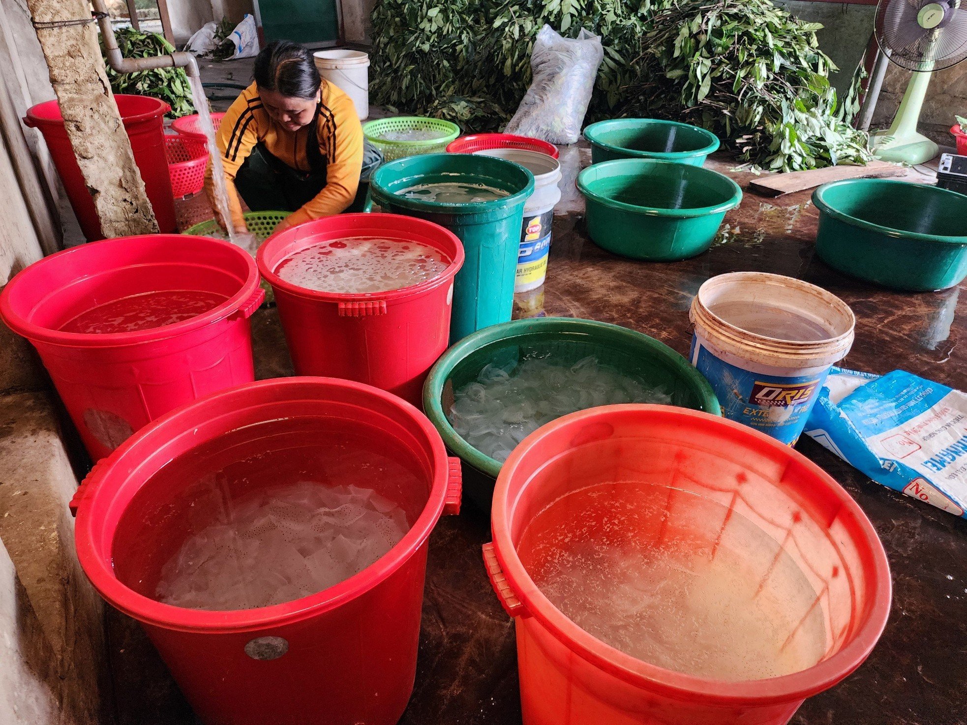 អ្នកនេសាទ Ha Tinh ក្នុងរដូវប្រមូលផលចាហួយ រកចំណូលបានរាប់លានដុងជារៀងរាល់ថ្ងៃ រូបភាព ១៣