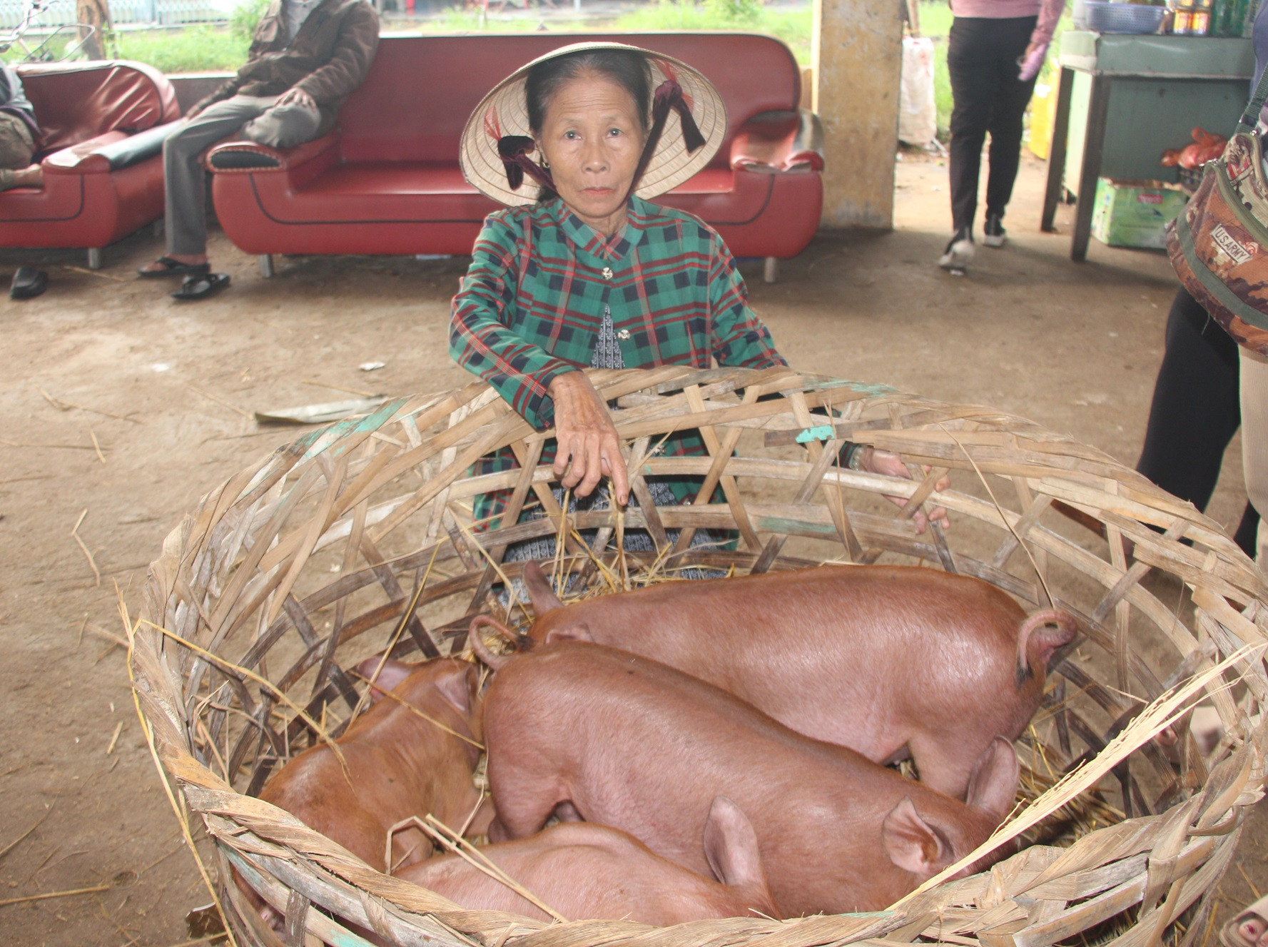 Một ngôi chợ đặc biệt ở Quảng Nam, bán heo theo kiểu rất lạ đời chẳng giống ở đâu, đó là bồng heo để bán- Ảnh 9.
