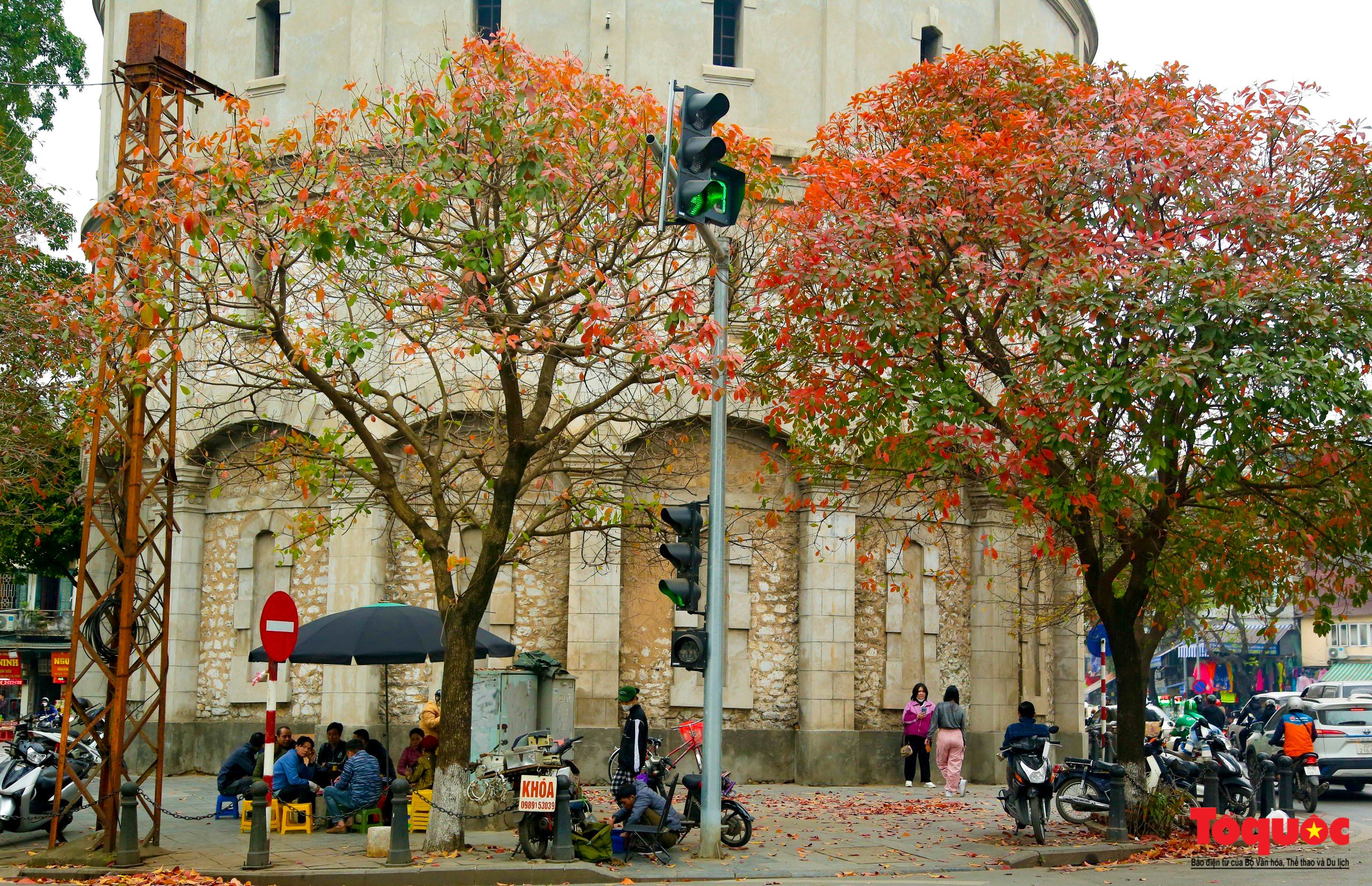 Hà Nội mùa cây thay lá - Ảnh 1.