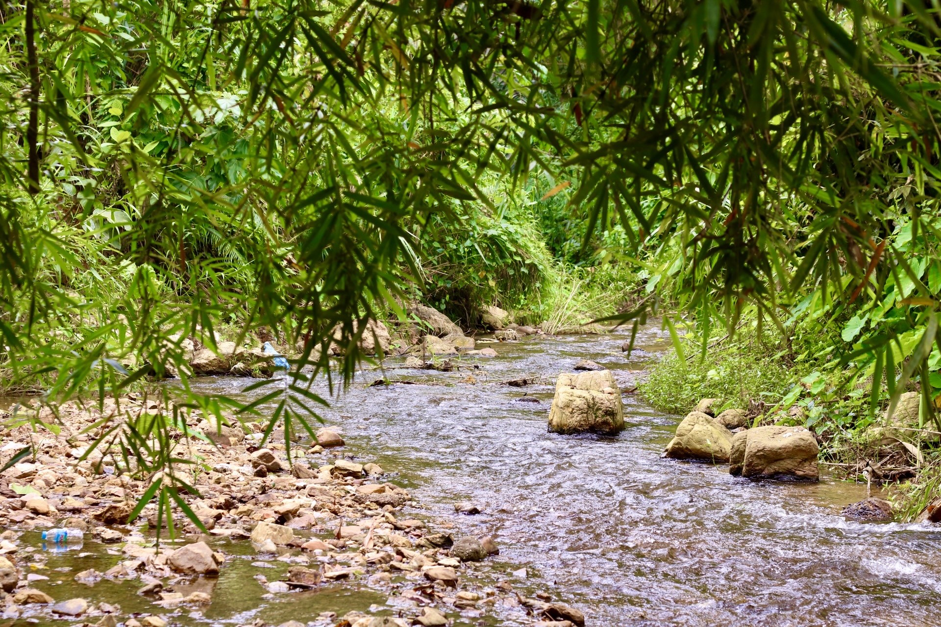 Young people invite each other to go up the mountain to avoid the heat: Eat grilled chicken, drink coffee by the stream photo 2