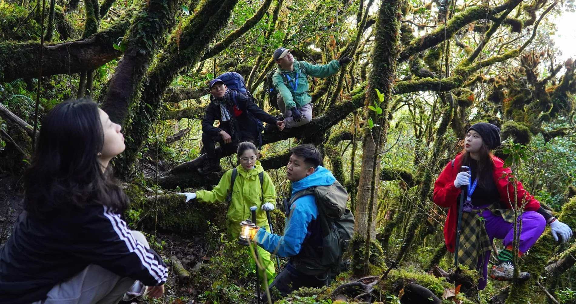 Traversée de la belle et mystérieuse forêt primitive, chasse aux nuages ​​au sommet de la haute montagne de Son La