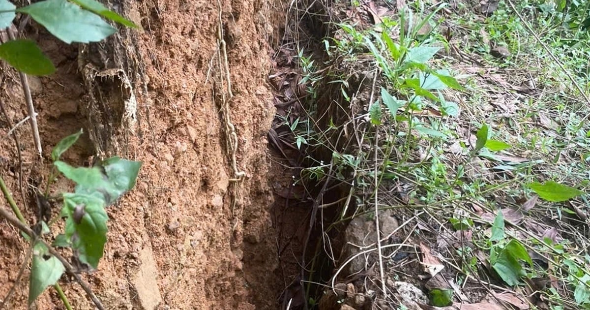 Quang Ngai : une fissure de 60 m de long menace une école maternelle et de nombreuses maisons