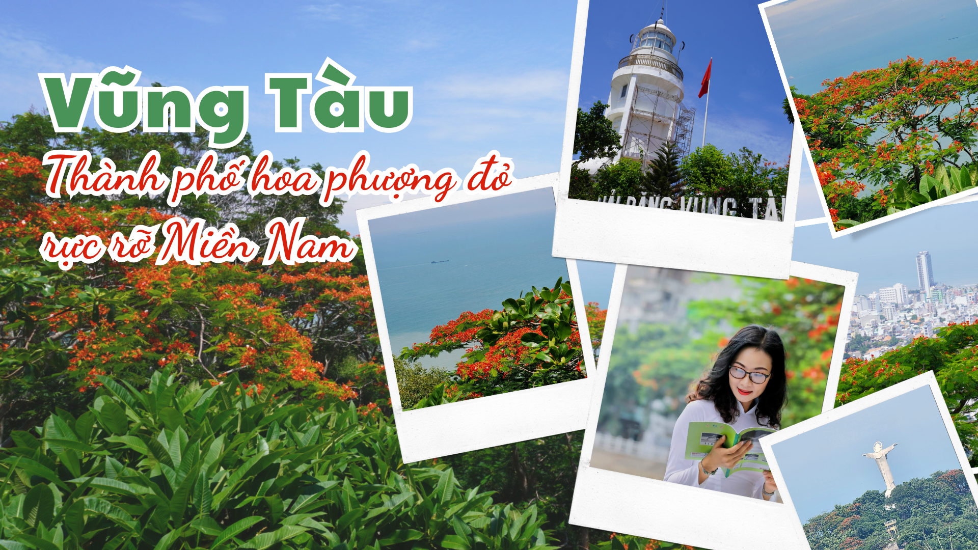 Vung Tau - the red phoenix flower city of the South - Photo 1