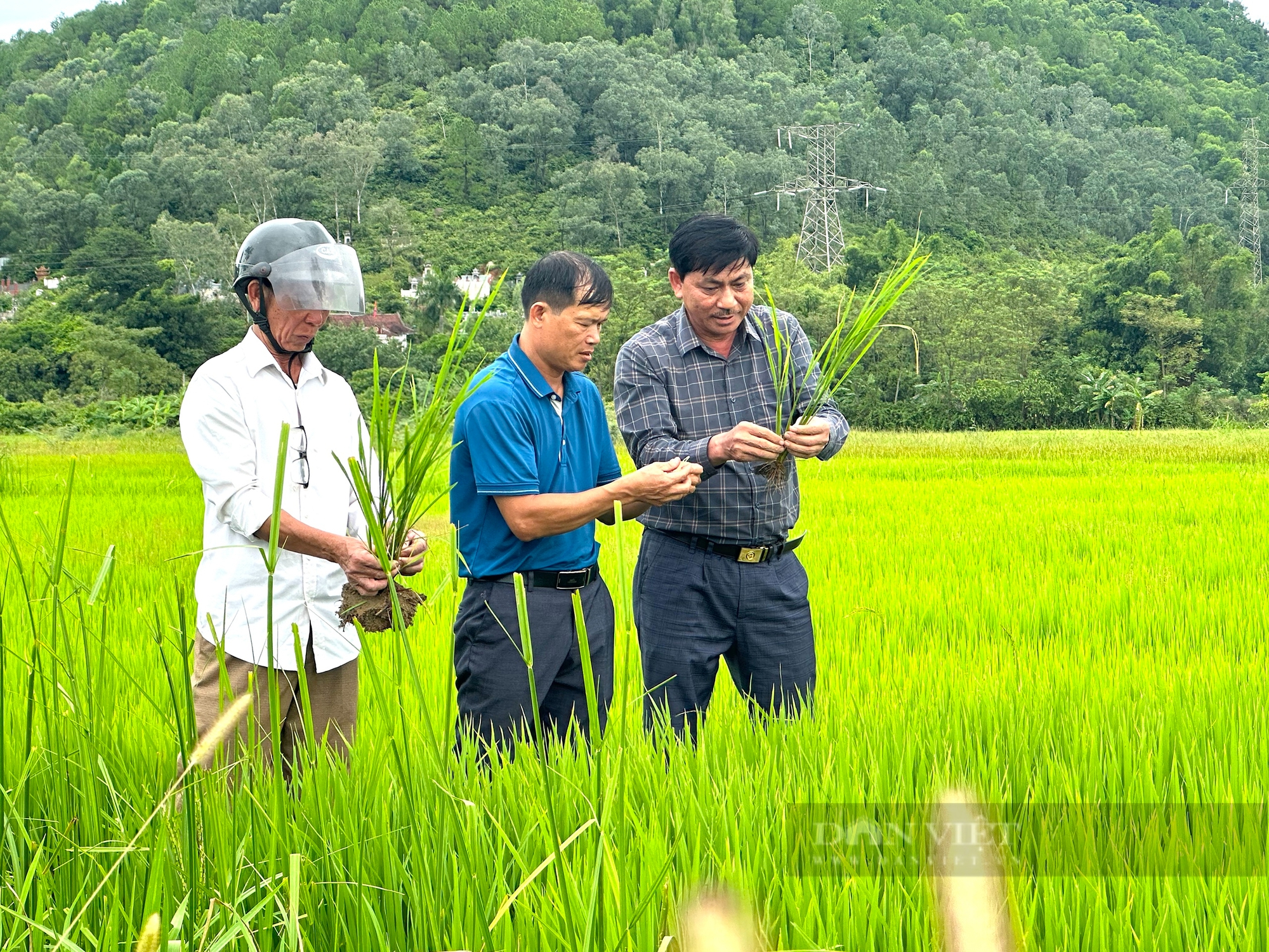 Người tiên phong đưa ứng dụng tiến bộ khoa học kỹ thuật vào sản xuất nông nghiệp ở Hà Tĩnh - Ảnh 4.