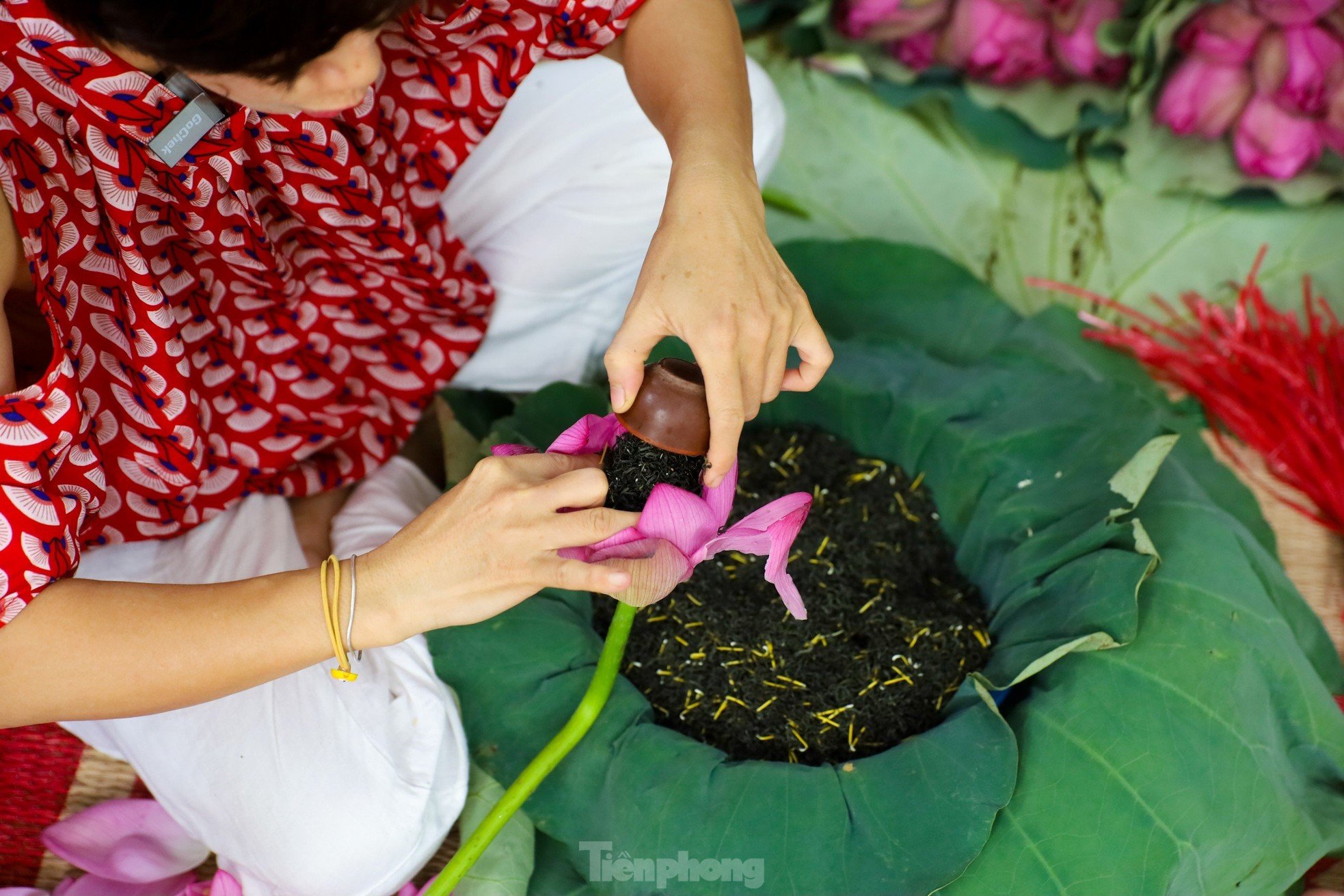 Unique art of lotus tea brewing - Cultural beauty of Hanoi people photo 9