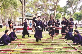 Emocionante festival cultural de grupos étnicos en la meseta de Gia Lai