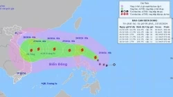 Storm Tra Mi forecast: Storm center has wind gusts of level 11, moving northwest, likely to strengthen