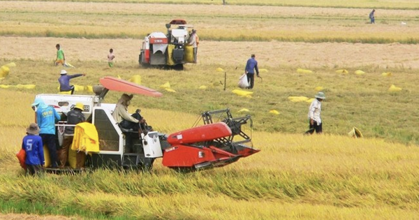 Expérience internationale en matière de développement agricole vert