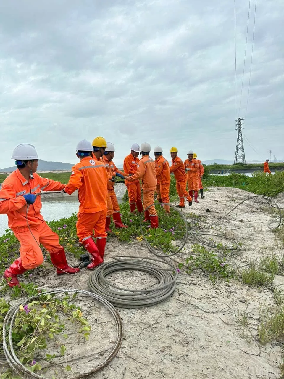 Suspensión del director de Ha Long Electricity: Quang Ninh Electricity muestra su espíritu