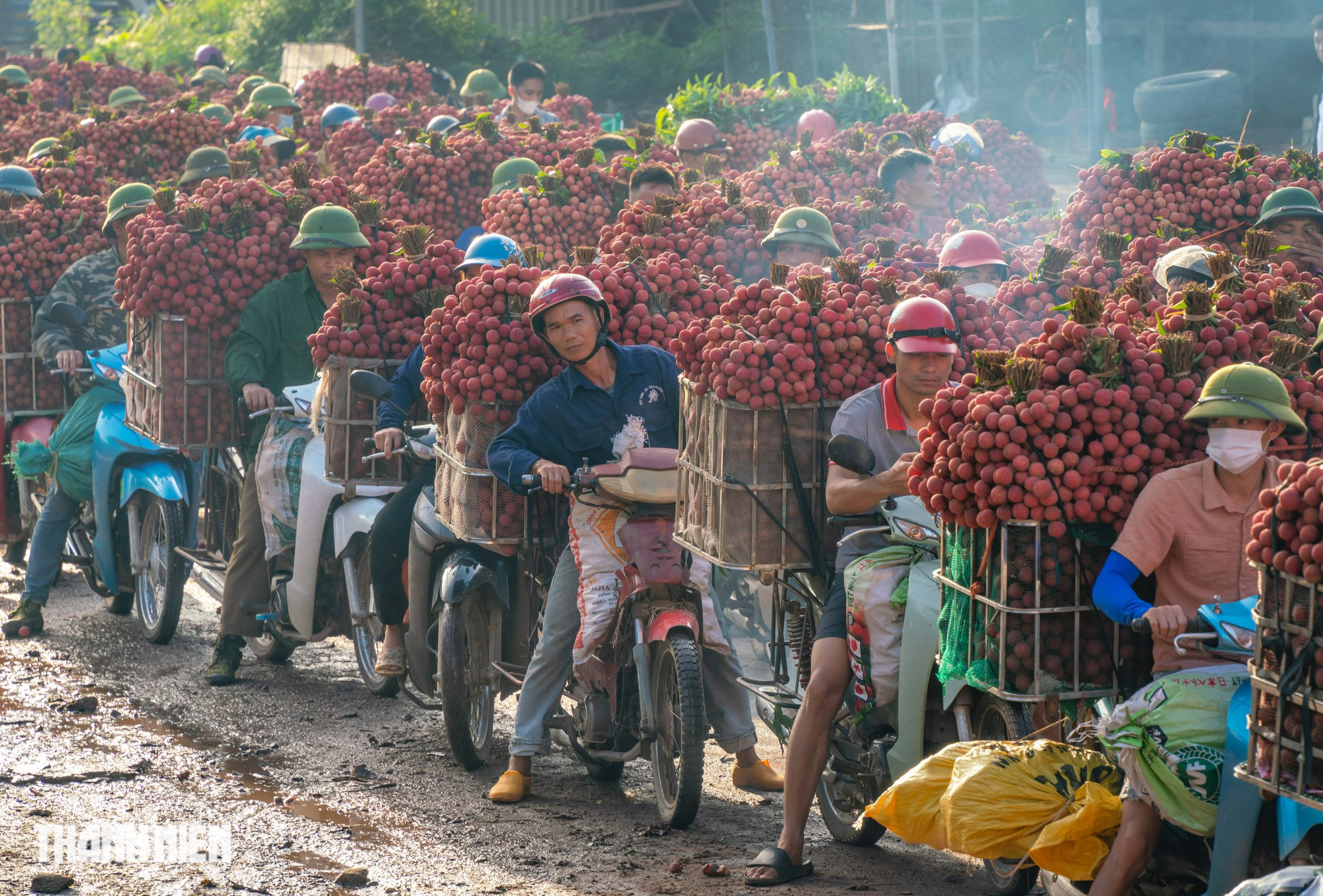 Vải thiều nhuộm đỏ đường quê - Ảnh 7.