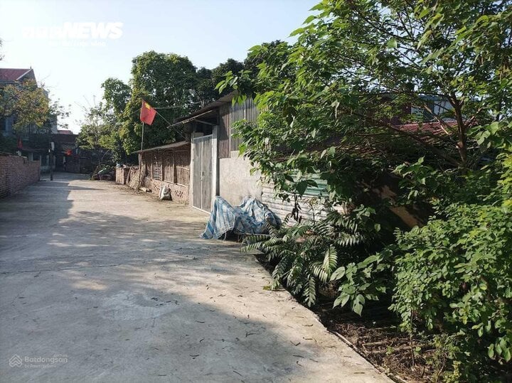 Un terrain est à vendre dans la commune de Vinh Ngoc. (Photo : Ngoc Vy).