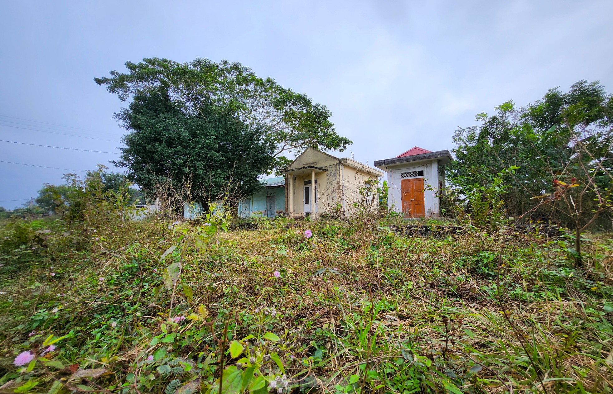 The desolation of the 'forgotten' railway line in Nghe An photo 19