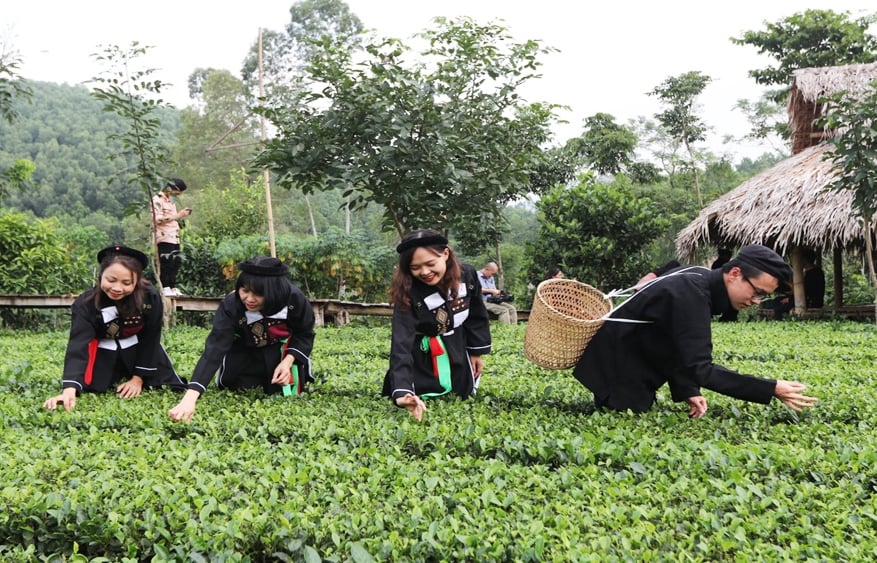 Tiền thù lao cho người bảo tồn tiếng dân tộc thiểu số ở Bắc Giang là thế nào?- Ảnh 1.