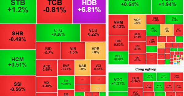 Das Geld kann in einzelne Aktien investiert werden.