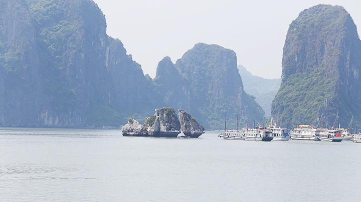 ユネスコはハロン湾とカットバ諸島の保護を支援