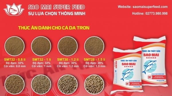 Dấu ấn đột phá của Sao Mai Super Feed