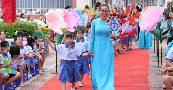 Ho Chi Minh City calls for investment capital to build 110 schools