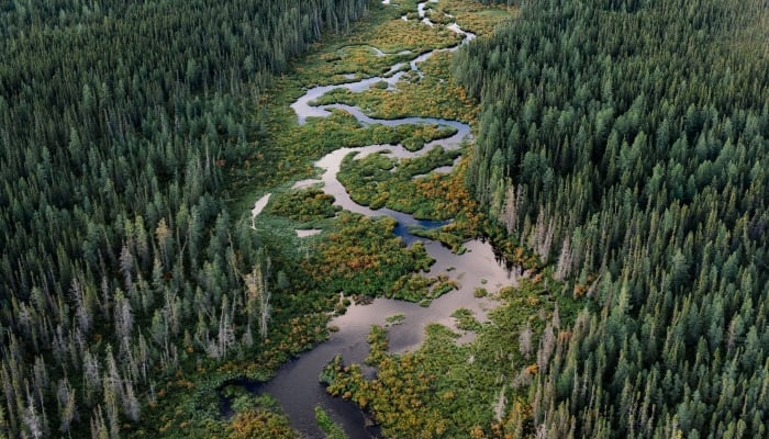 El futuro de los vehículos eléctricos y el tesoro de tierras raras de Canadá valorado en 67.000 millones de dólares