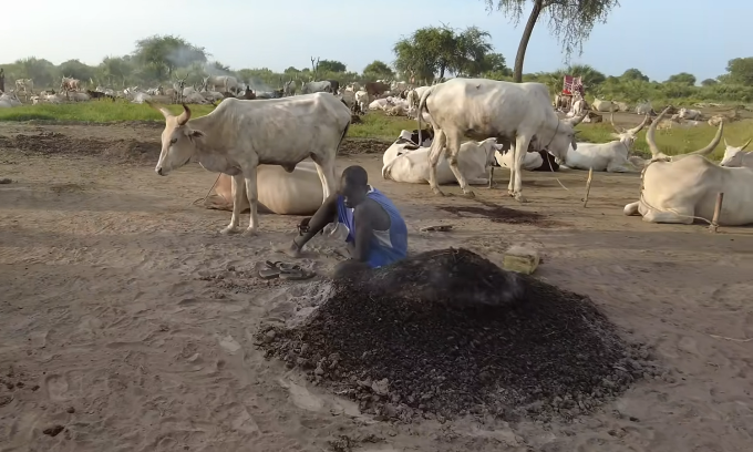 A man sits next to a pile of ashes burned with cow dung. Photo: Lai Nguu Chan