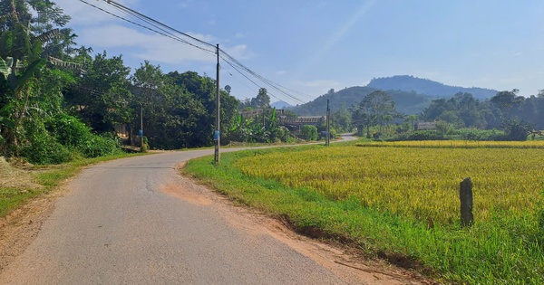 Xây dựng nông thôn mới kiểu mẫu ở một xã vùng cao, có thế mạnh về nông nghiệp tại Yên Bái