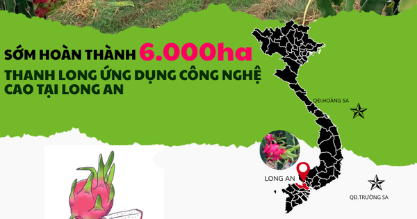 Tại sao tỉnh Long An đặt ra mục tiêu trồng 6.000ha thanh long công nghệ cao đến năm 2025?