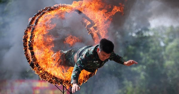 The 'steel warriors' of the 429th Special Forces Brigade