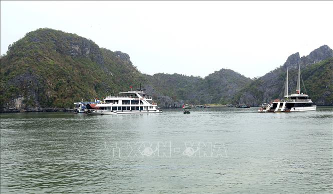 Cat Ba y Do Son se preparan para recibir turistas