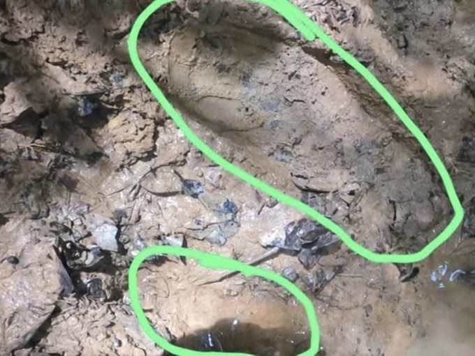 Children's footprints in the Amazon rainforest. Photo: AFP