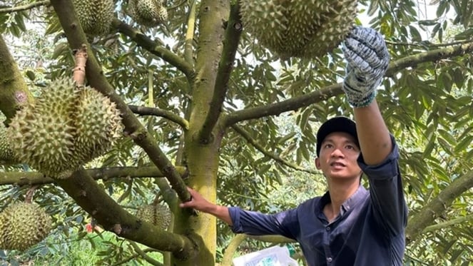 Giữ thị trường xuất khẩu,Giữ thị trường xuất khẩu