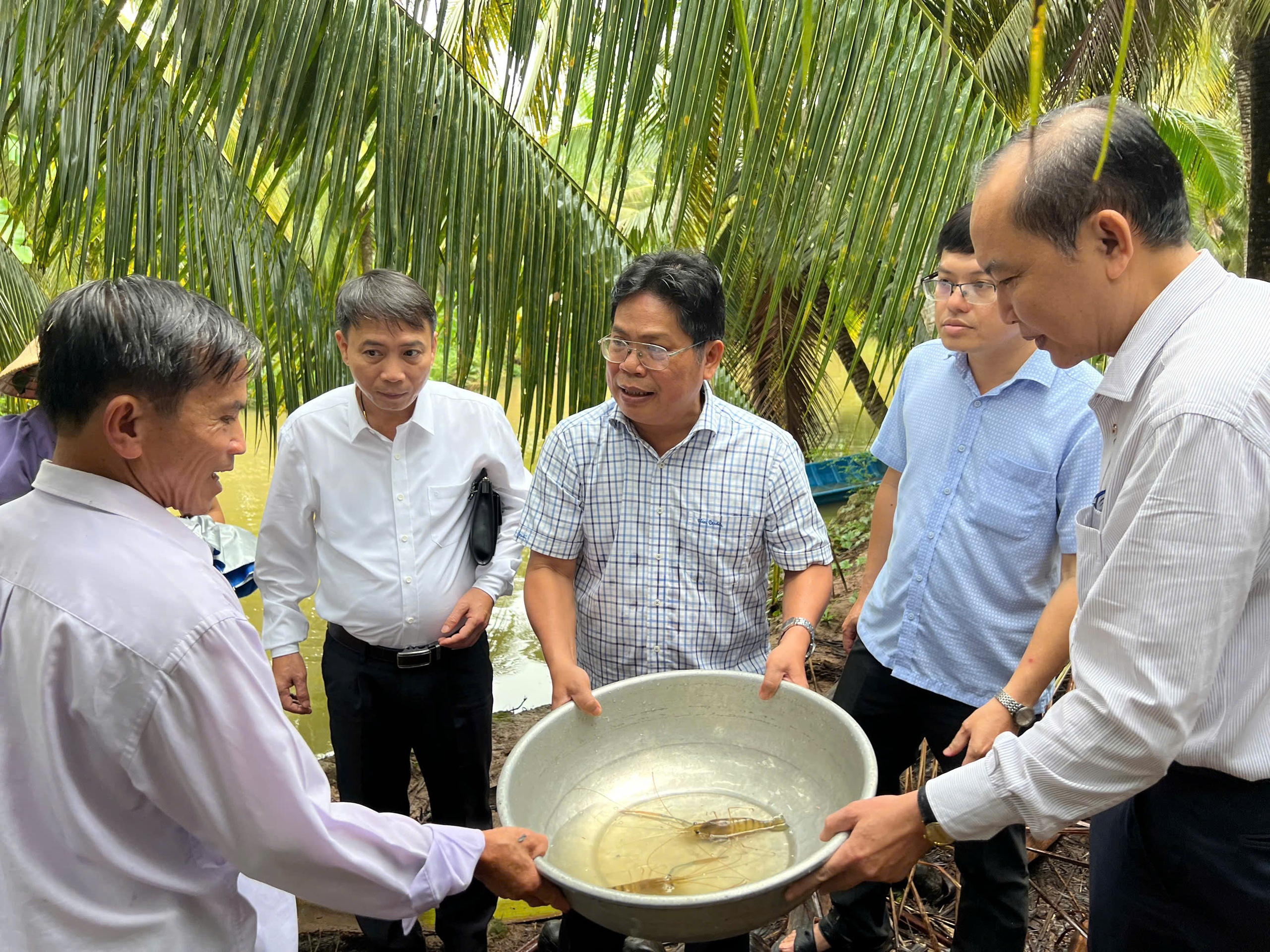 Phó Chủ tịch Thường trực T.Ư Hội NDVN Phan Như Nguyện: Câu lạc bộ Nông dân tỷ phú ở Bến Tre rất sáng tạo - Ảnh 3.