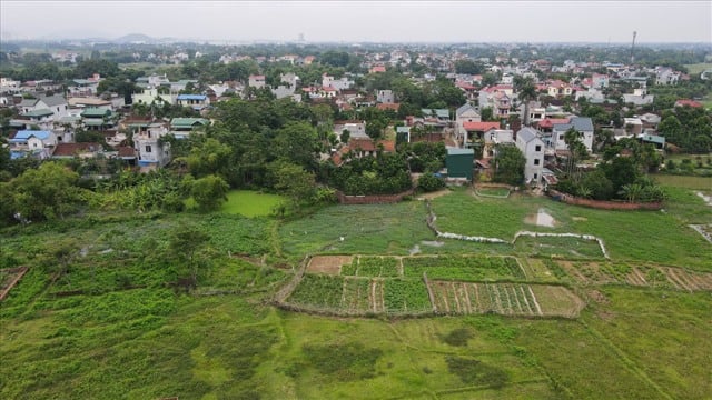 Remise de 5 436 m2 de terrain au district de Thach That pour mettre en œuvre un projet de vente aux enchères de terres