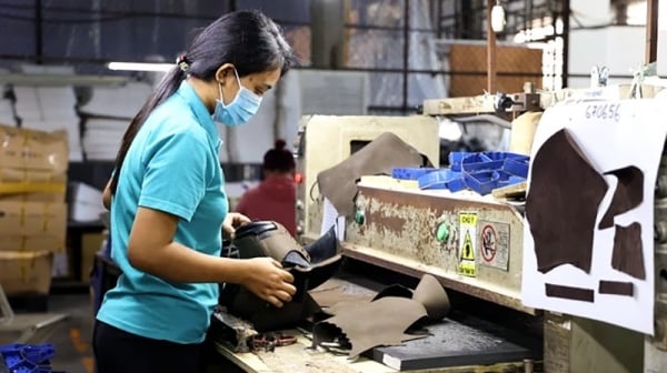 Última normativa sobre la edad de jubilación de los trabajadores a partir de 2024