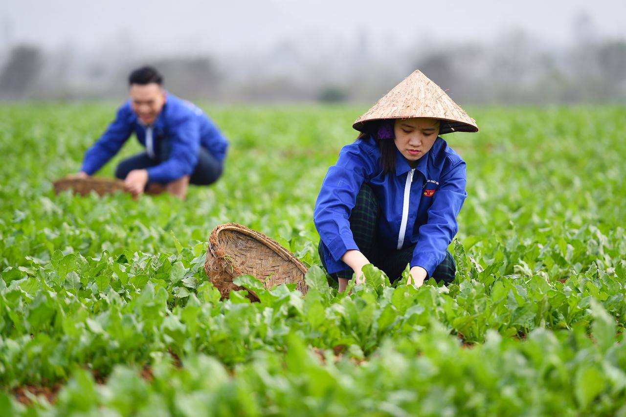 agriculture.jpg