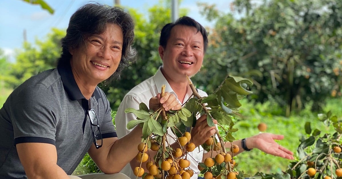 Western billionaire tells story of getting rich with longan fruit