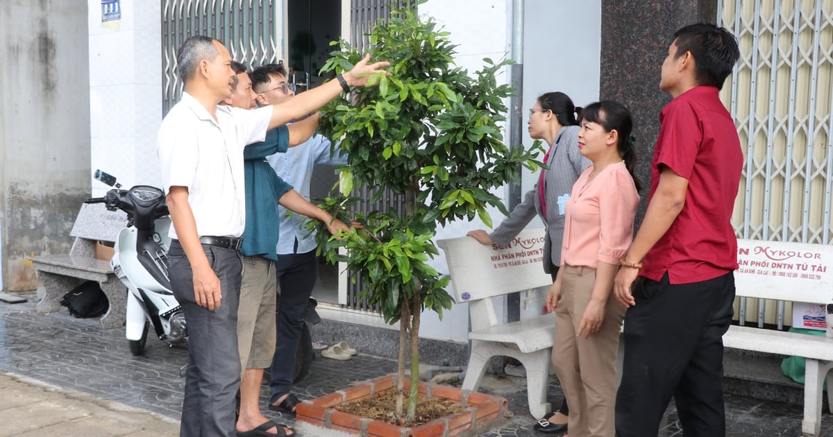 An Khê đẩy mạnh học tập và làm theo Bác | Báo Gia Lai điện tử