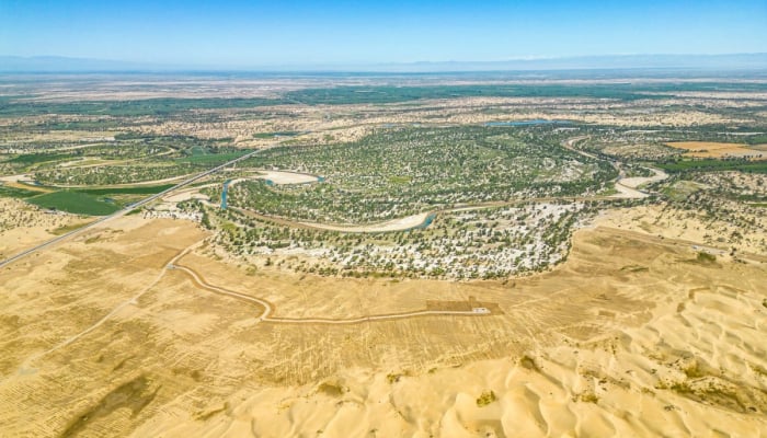 China completa la 'Gran Muralla Verde' que rodea un superdesierto