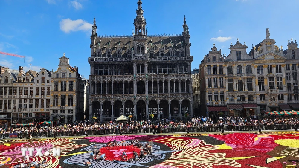 Alfombra floral de Bruselas 2024. (Foto: Duy Tung/VNA)