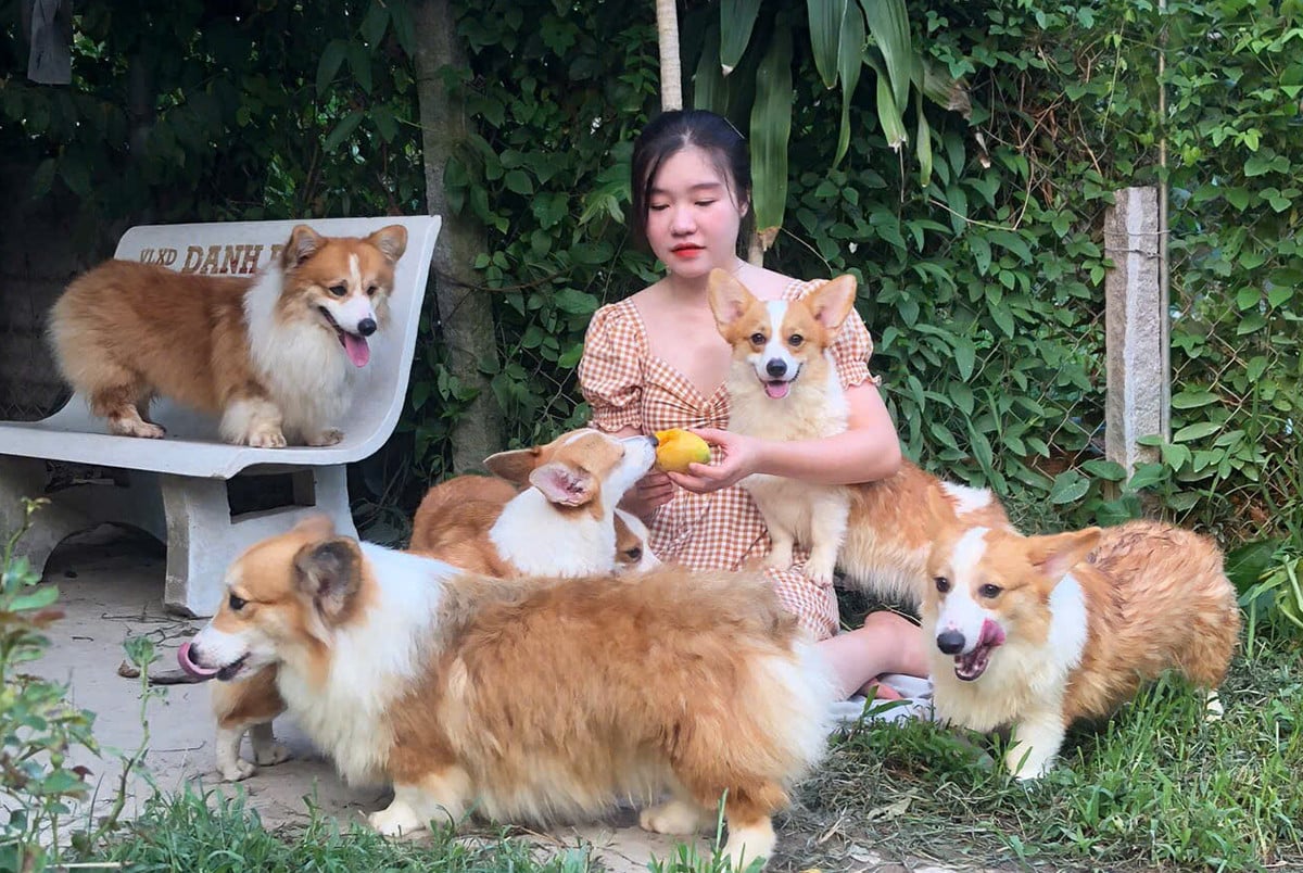 Dog 4.jpg
