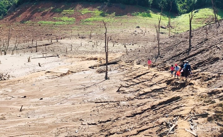 Les gens luttent pour patauger dans la boue au milieu du plus grand réservoir hydroélectrique de Nghe An - 4