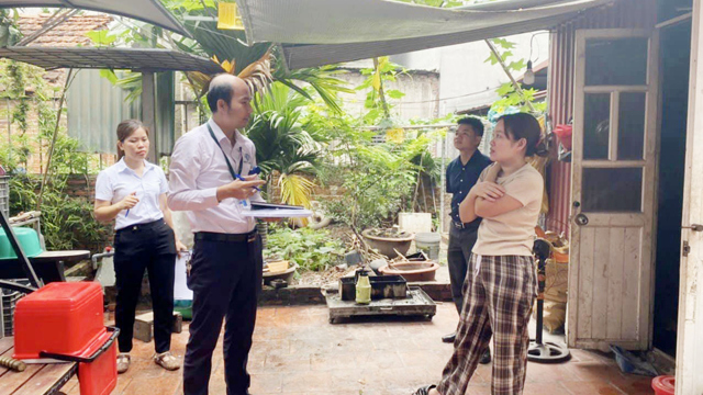 Hanoi verzeichnet 227 Fälle von Denguefieber