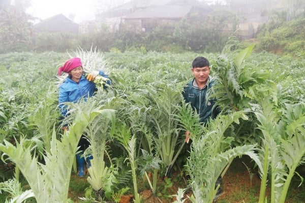 Có phải chỉ để theo phong trào?