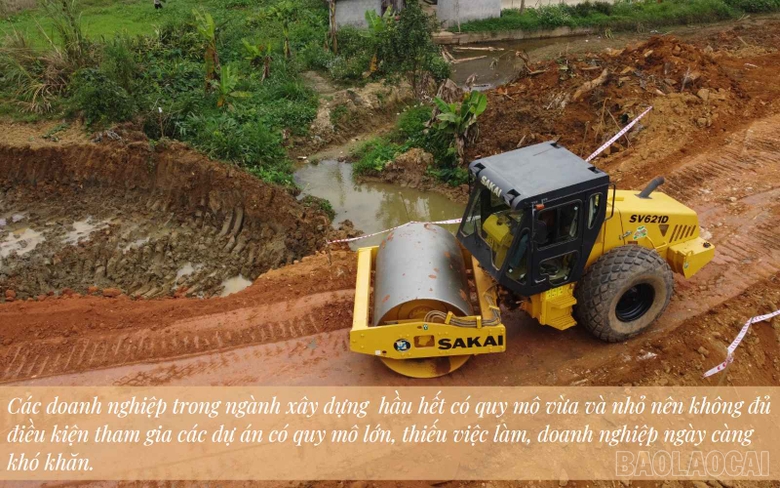 baolaocai_vvn (4).jpg